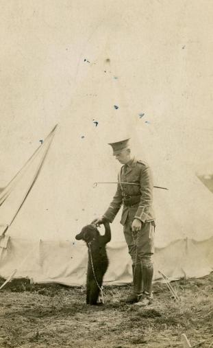 L'Orso Winnipeg - ispirazione per "Winnie the Pooh" qui con il tenente Harry Colebourn 1914
