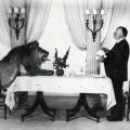 Alfred Hitchcock che serve il tè a Leo il Leone, mascotte della MGM 1958