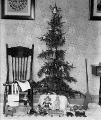 L'idea dell'albero di Natale sembra esser nata nella Germania medievale e probabilmente era una reliquia di una vecchia cerimonia celtica. I cristiani tedeschi portavano alberi nelle loro case