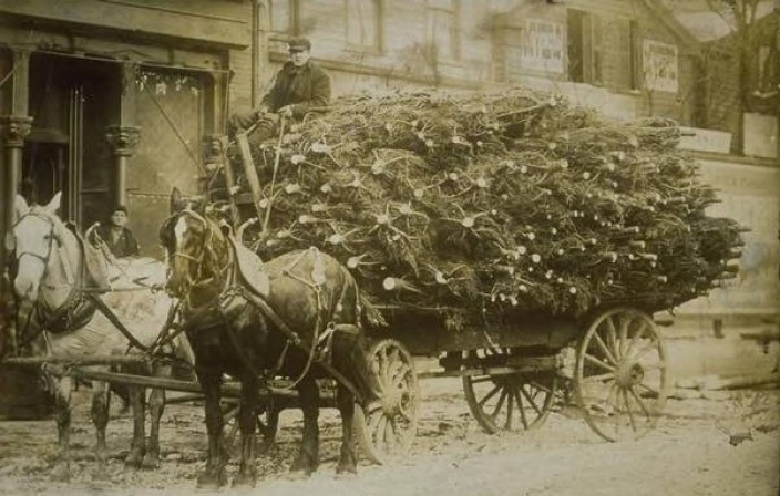 Carro di alberi di Natale, Hartford, ca. 1890 - Connecticut Historical Society and Connecticut History Online