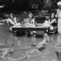 Turiste che posano con alligatori al Los Angeles Alligator Farm nel 1920