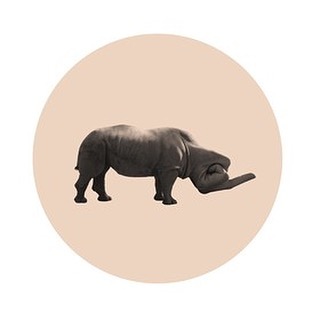 Rinoceronte dito medio