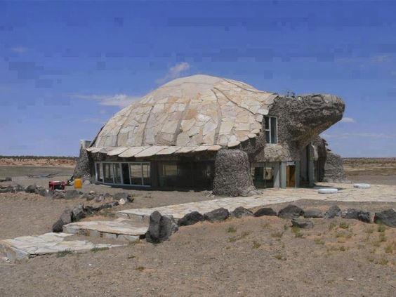 Casa tartaruga