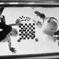 Robert Discharges, Duchamp e Dalí che giocano a scacchi sul set del film A Soft