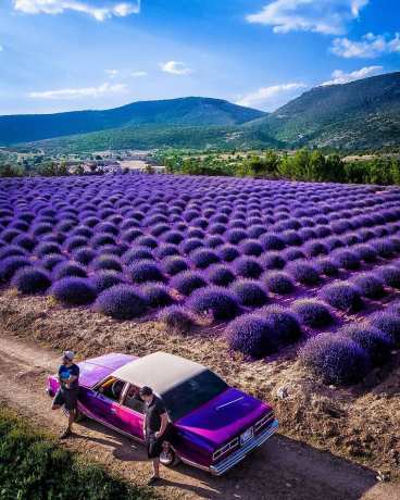 Lavender Town exists and it's in Turkey! Photo by Adem Axoi In the Isparta province, you'll find the mesmerizing village of Kuyucak. There are only around 90 households, and most of the villagers make a living through lavender cultivation.