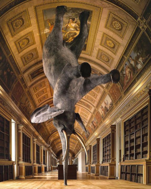 French artist Daniel Firman started his balancing Elephant series, named Nasutamanus, in 2008