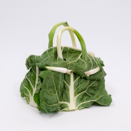Vegetable handbag by Ben Denzer