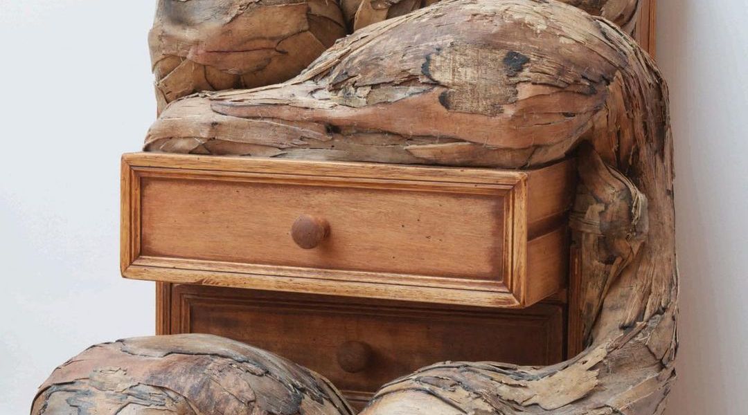 "Chest of drawers" by Henrique Oliveira
