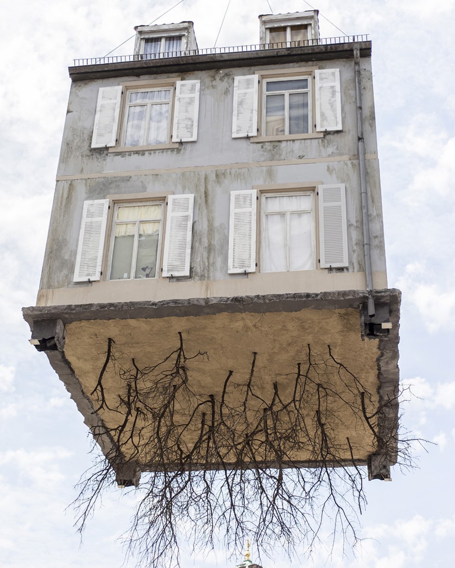 "Pulled by the Roots" by Leandro Erlich