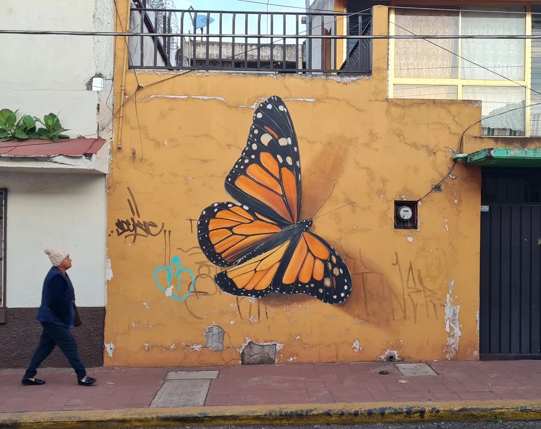 Mantra @ Zitacuaro, Mexico